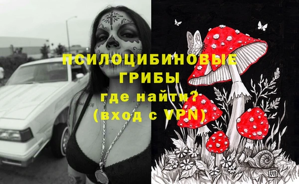 MDMA Беломорск