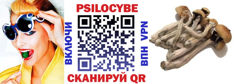 Псилоцибиновые грибы MAGIC MUSHROOMS  Верещагино 